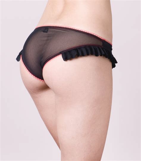Sheer Mesh See Trough Lingerie Panties Brief Etsy
