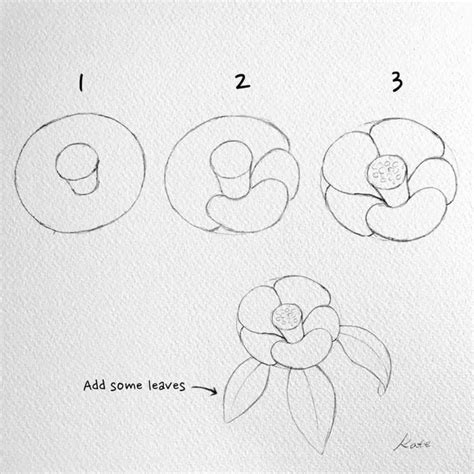 Flower Drawing Easy Tutorials For Beginners To Draw Flower Drawing