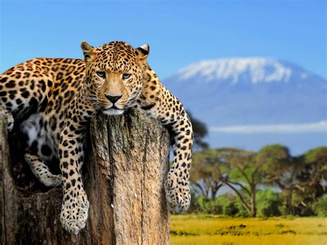 Keňa - 2025/26 - CK Poznání