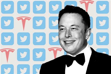 Tesla Investors Cheer Elon Musk Stepping Down As Twitter Ceo Why They