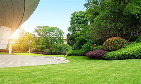commercial landscaping franks lawn tree service