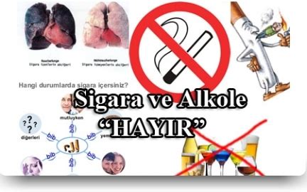 SİGARANIN ZARARLARI SİGARA VE ALKOLÜN ZARARLARI