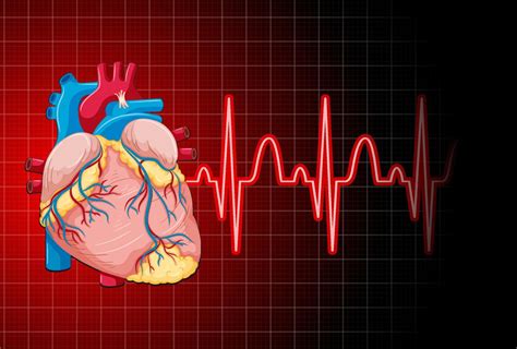 Latido Del Corazón Con Gráfico De Frecuencia Cardíaca 7252351 Vector En Vecteezy