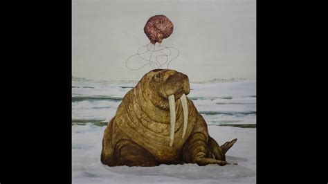 Tanya Tagaq Snowblind Wallpapers Wallpaper Cave