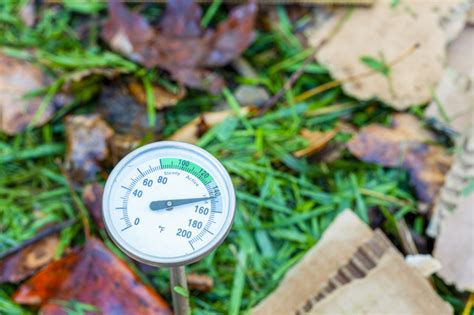 compost thermometer picks     decade  testing