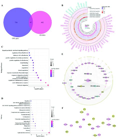 Cross Talk Gene Function And Ppi Network Analysis A Venn Diagram Of