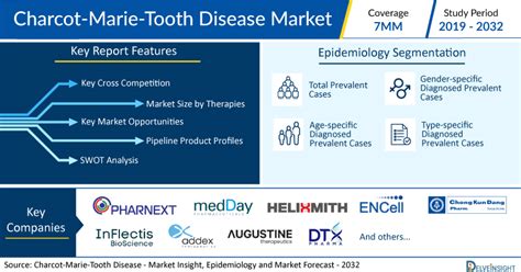 Charcot Marie Tooth Disease Market Size And Share To Grow