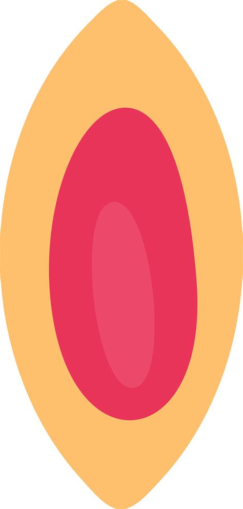 Vagina Vector Icon Design 25201124 Vector Art At Vecteezy