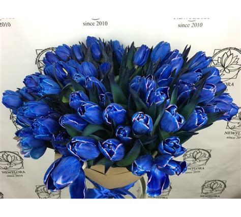 Красивые цветы | Пикабу