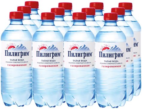 Минеральная питьевая вода Пилигрим газированная, ПЭТ — купить по ...