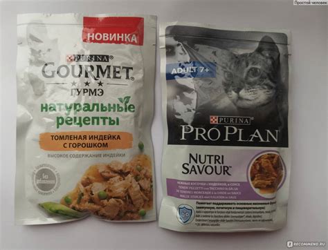 Из чего состоят корма Гурмэ для котов: как правильно давать Gourmet кошкам