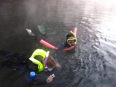 Snorkeling With the Manatees of Crystal River, Florida | Northwest ...