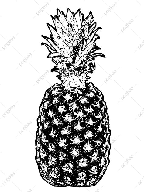 Pineapple Illustration Vector Design Images Detailed Grunge