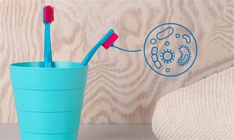 History The Evolution Of Tooth Brushing Curaprox
