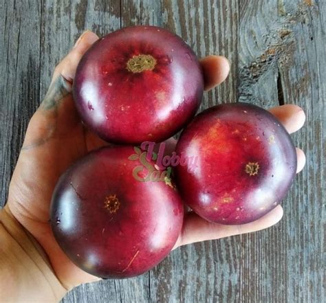 Томат Мисс Форье (Франция), 5 семян | Дачная Коллекция