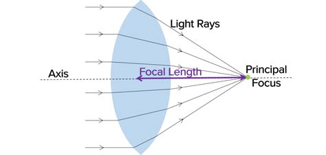 Lenses Worksheets Questions And Revision Mme