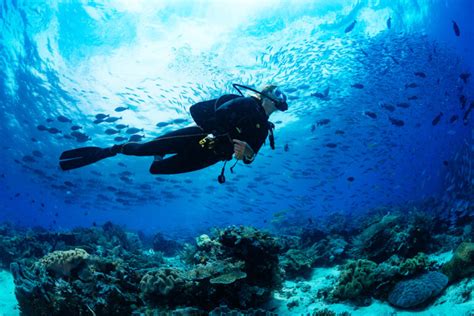 scuba stand