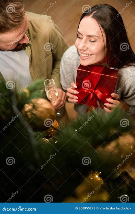 Female With Wrapped Gift Box And Man With Champagne Glasses Stock Image