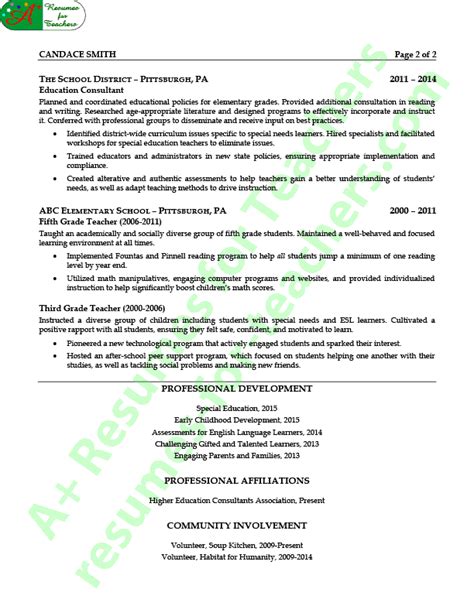 Education Consultant Resume Example