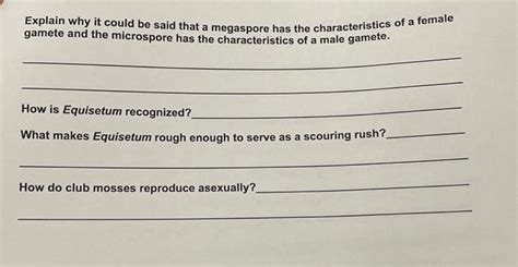Solved Explain Why It Could Be Said That A Megaspore Has The