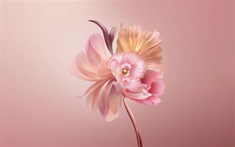 Abstract Flower Wallpaper 4k Pastel Red Floral Pink Honor