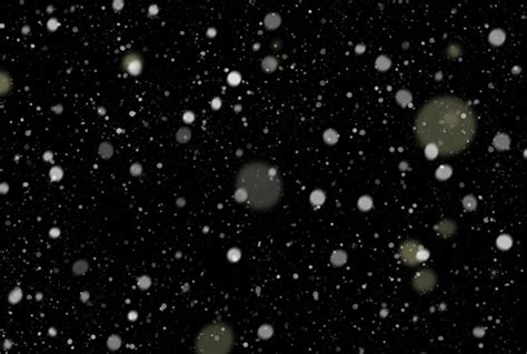 260 Free Snow Overlay for Photoshop – Download Now!