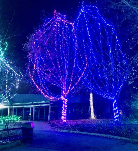 Columbus Zoo Zoolights Hours | Shelly Lighting