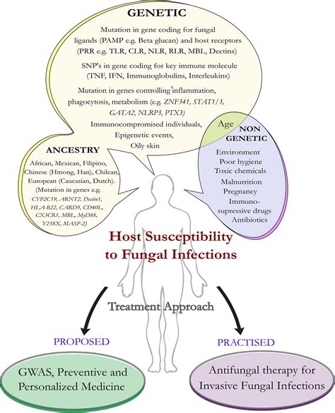 Genetic Map: Khám Phá Bản Đồ Di Truyền Và Cách Sử Dụng Hiệu Quả