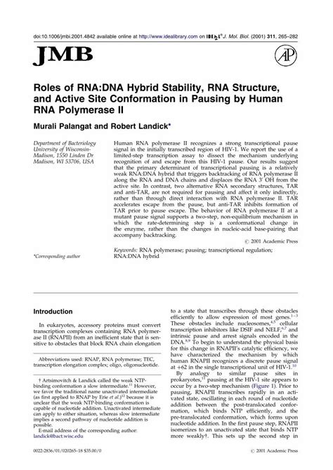 PDF Roles Of RNA DNA Hybrid Stability RNA Structure And Active Site