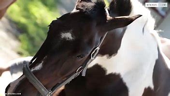 Raw Rodeo Scene XVIDEOS