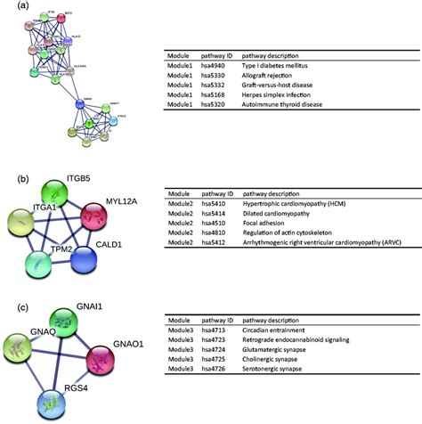 The Top Three Most Significant Modules Extracted From The Ppi Network