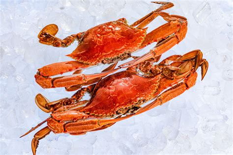 Blue Swimmer Crabs Burswood Seafood