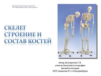 Учебник Английского Языка 3 Класс 2Часть Лапицкая - betterfiles