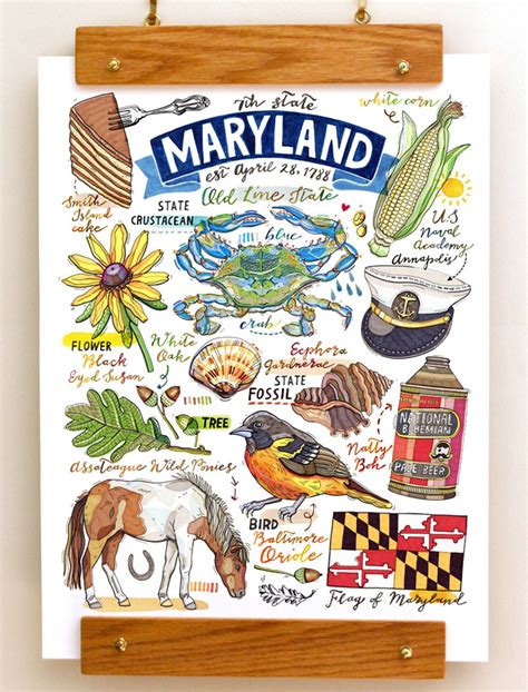 Maryland Print, State Symbols, Illustration, Old Line State, Home Decor ...