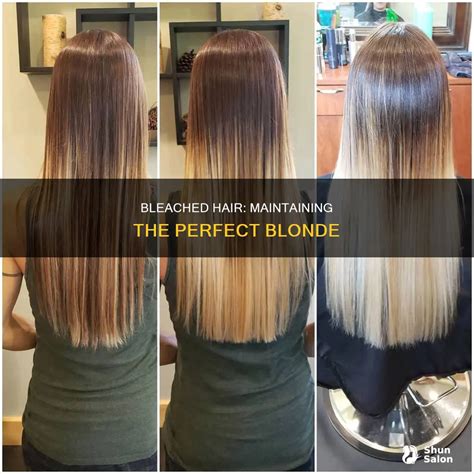 Bleached Hair Maintaining The Perfect Blonde ShunSalon