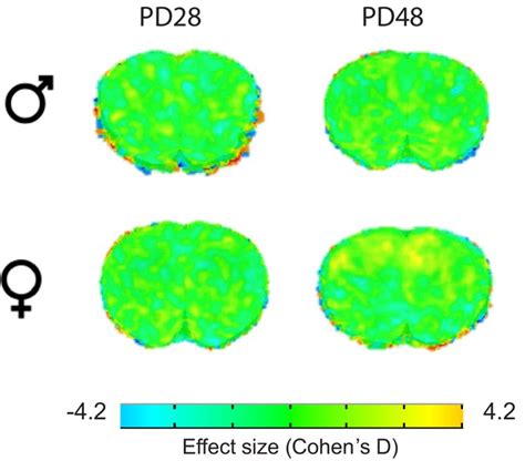 Figures And Data In Altered Corticolimbic Connectivity Reveals Sex Specific Adolescent Outcomes