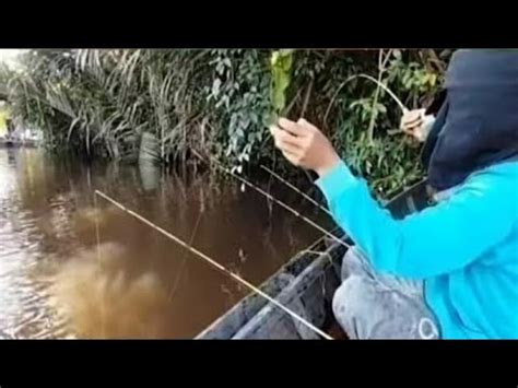 Tak Di Sangka Mancing Di Sungai Ini Strike Bertubi Mancing Mania Udang