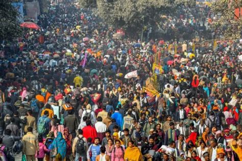 killed  car collides  bus en route  kumbh