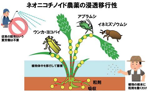 ネオニコチノイド系殺虫剤問題点 – ネオニコチノイド系農薬 毒性 – KFSWCU
