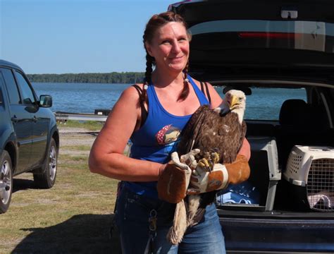 Iwrc Member Spotlight Letitia Labbie International Wildlife Rehabilitation Council