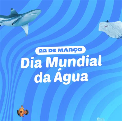 Dia Mundial da Água nos ajuda a refletir sobre o futuro do planeta