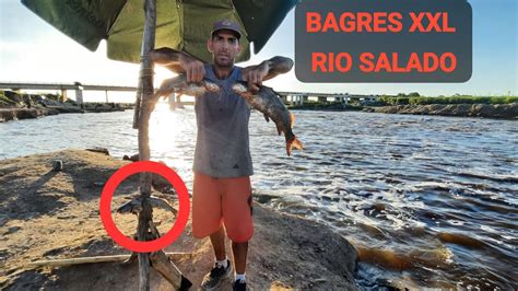 BAGRES XXL CARPONES PEJERREYES TODO ESTO EN UN SOLO LUGAR Parati