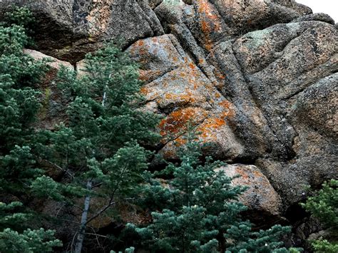 Hualapai Mountain Park | Mohave County Parks