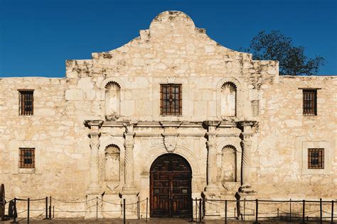 state  texas raises longhorn cattle  abilene state historical