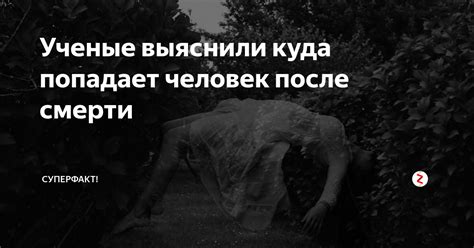 Ученые выяснили куда попадает человек после смерти | СуперФакт! | Дзен