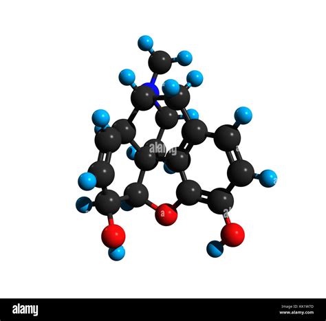 Estructura Molecular De La Morfina Un Analg Sico Del Tipo De Los