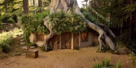 Take A Look Inside Shreks Swamp Now Available To Rent On Airbnb Indy100