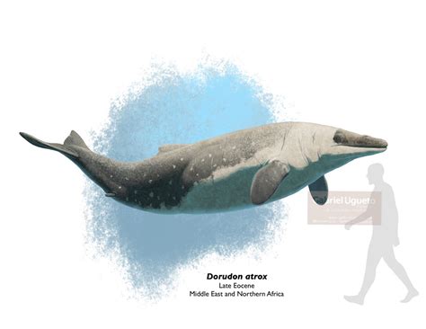 Dorudon Dinosaur Wiki Fandom