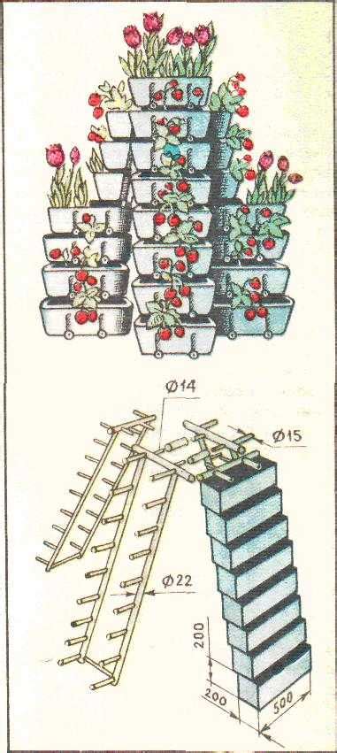 Пирамида для клубники своими руками, чертежи