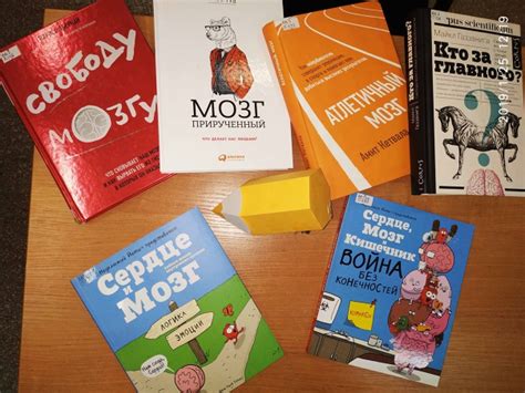 Друзья! В Отделе отраслевой литературы НОЮБ появились новинки! Человек ...